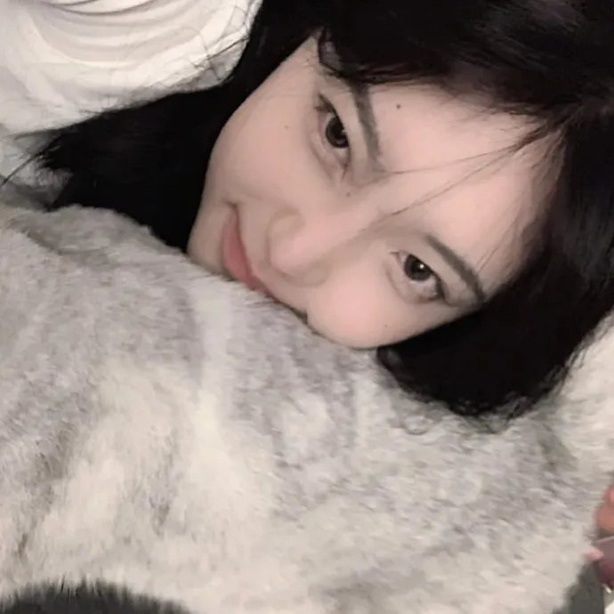 汤姆猫与杰利鼠:海盗寻宝 在线观看