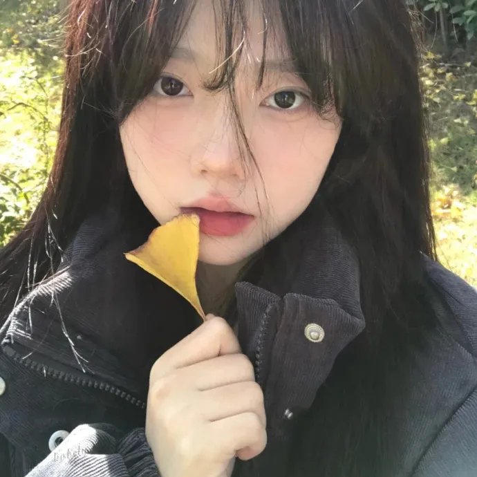 回声 在线观看